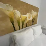 De Viana Córdoba