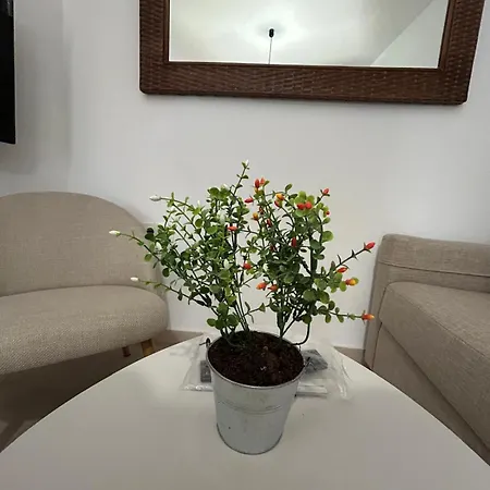 De Viana Apartment Cordoba