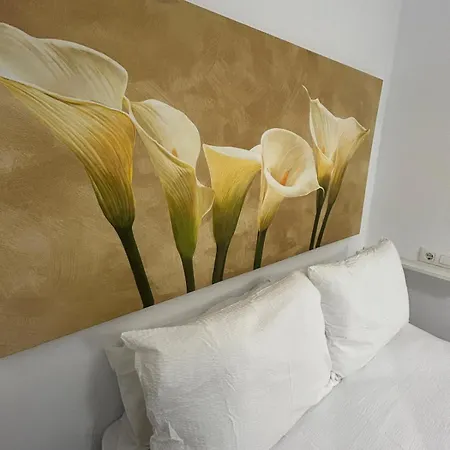 De Viana Кордова