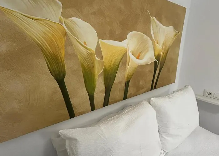 De Viana קורדובה